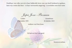 Automatische concepten 41